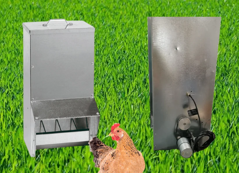 Comedero automatizado para aves