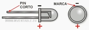 aa led pata positiva vs negativa