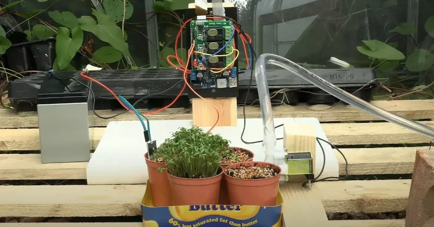 riego plantas